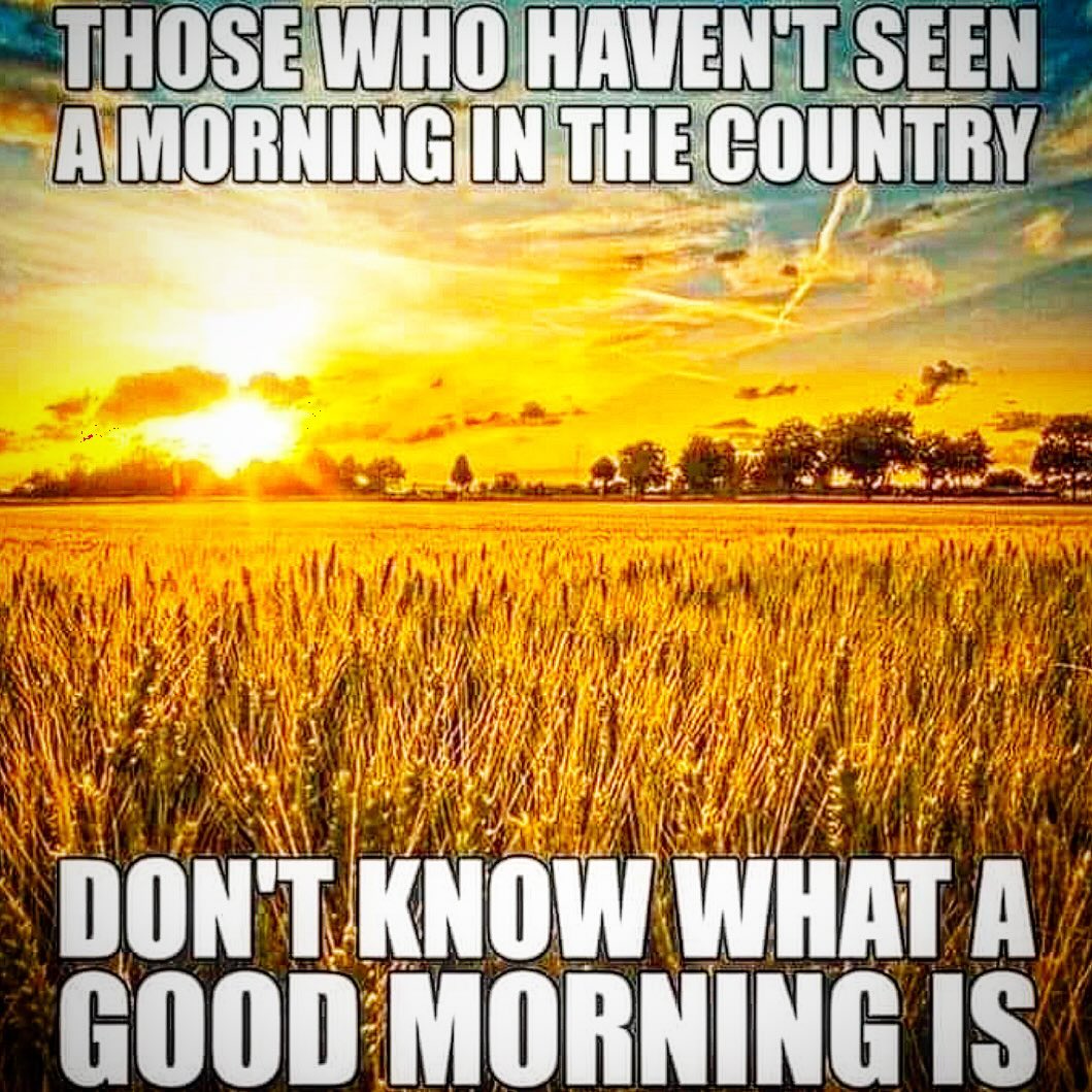 THOSE WHO HAVEN'T SEEN A MORNING IN THE GOUNTRY DON'T KNOW WHAT A GOOD MORNING IS