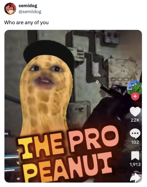 The Pro Peanut