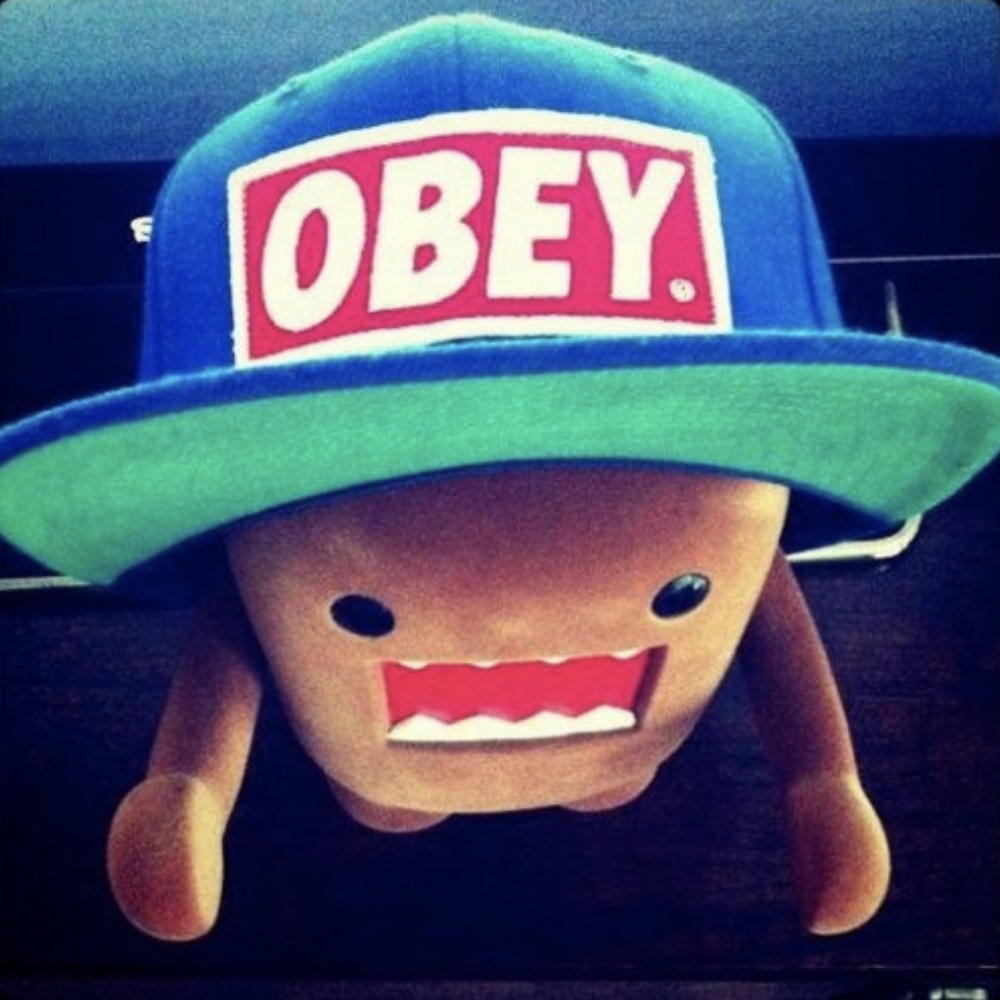 Domo with an Obey snapback.