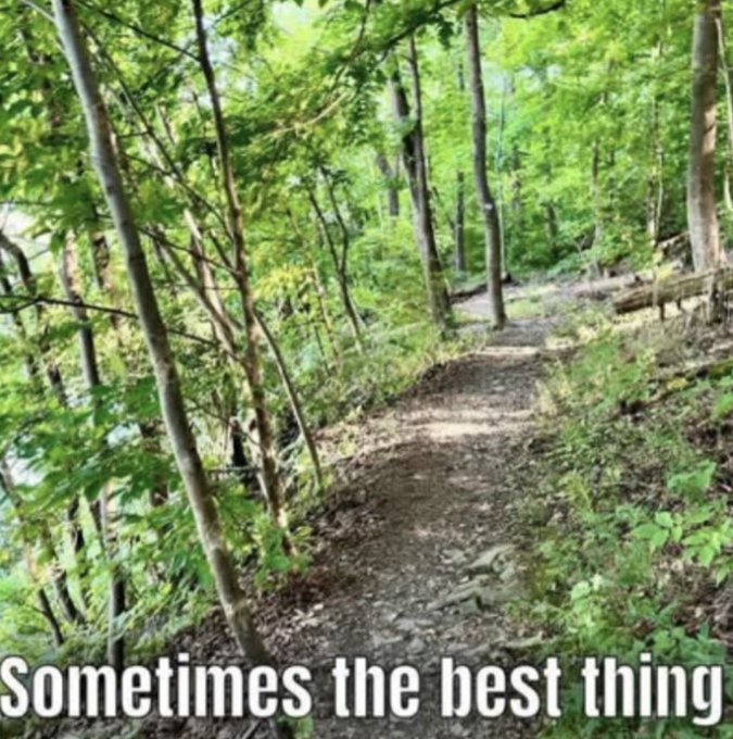 65000 Meme of the Day