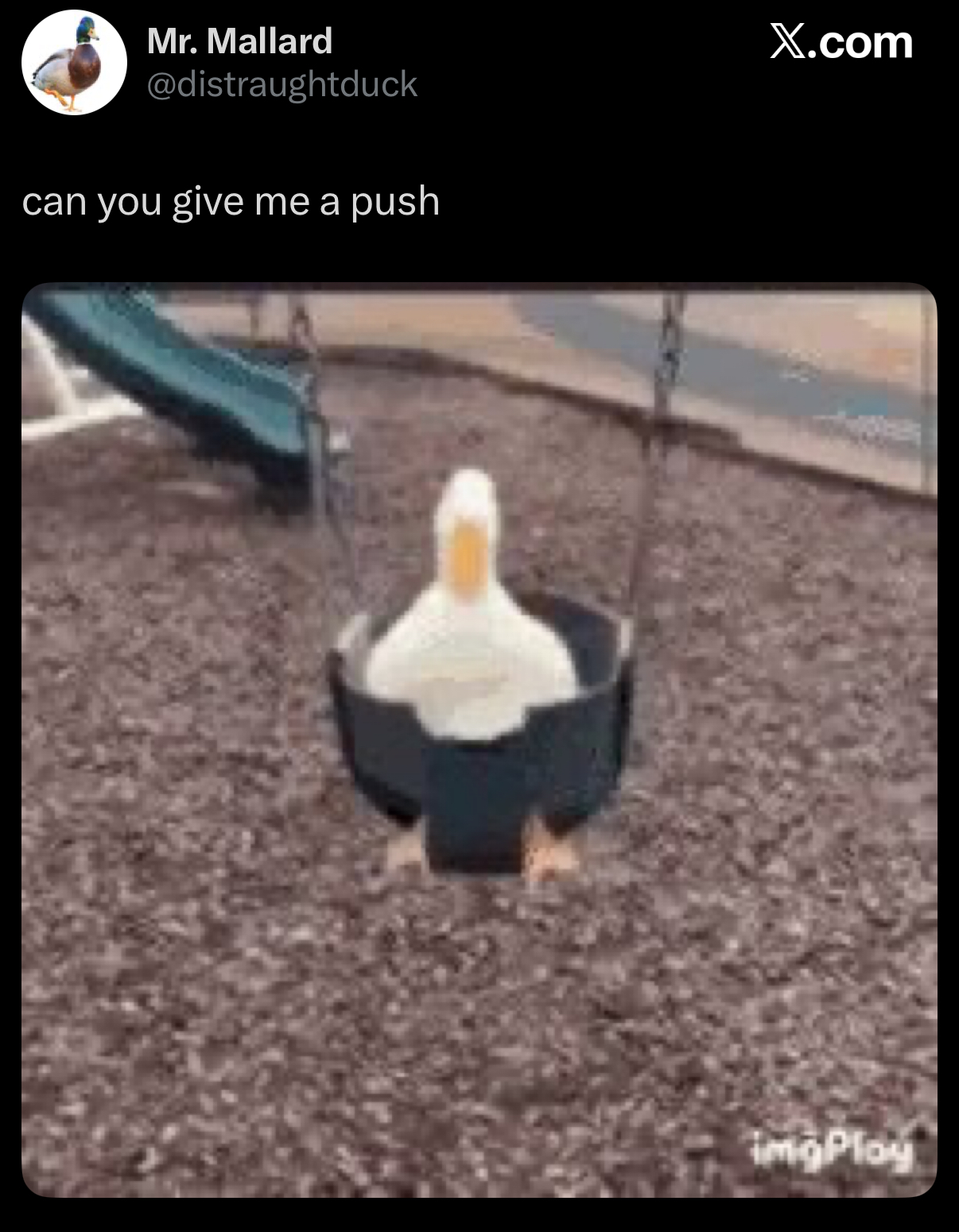 65000 Meme of the Day