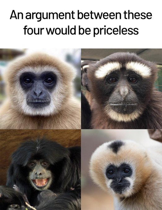 65000 Meme of the Day