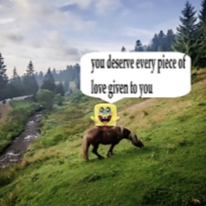 65000 Meme of the Day