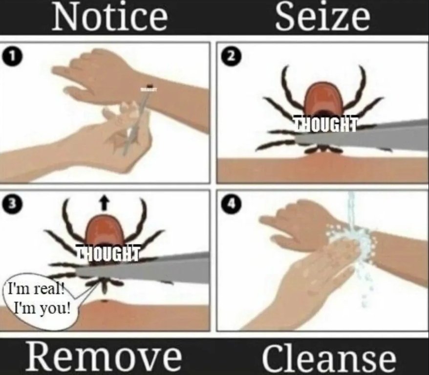 65000 Meme of the Day