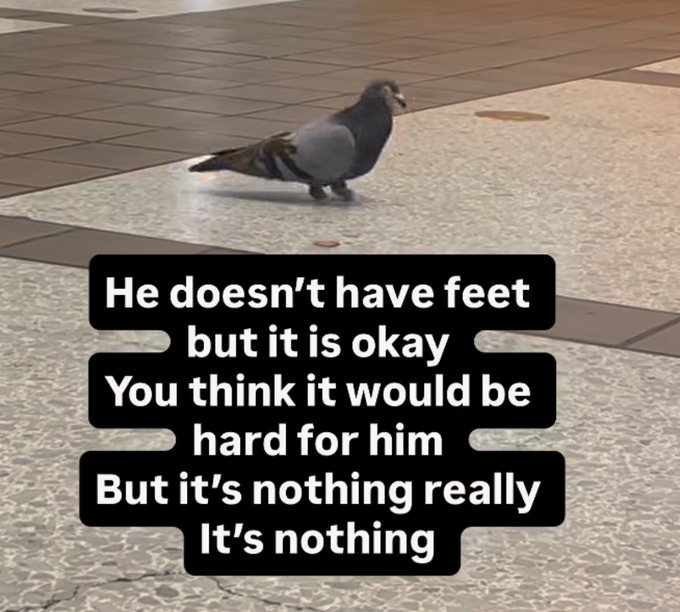 65000 Meme of the Day